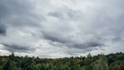 Forest in Fall | Leipzig | Germany Video stock 89380863