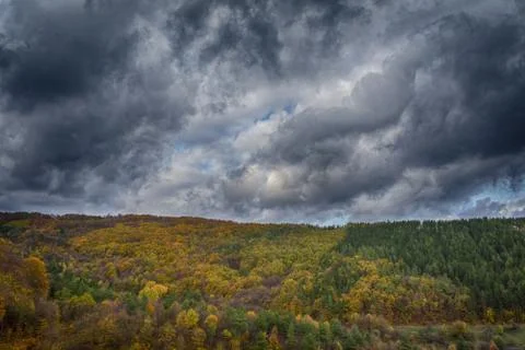 Forest in the fall with stormy clouds. Autumn concept Stock Photos