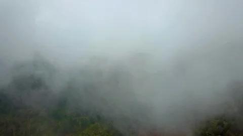 Forest at fall through clouds aerial Stock Footage 99206382