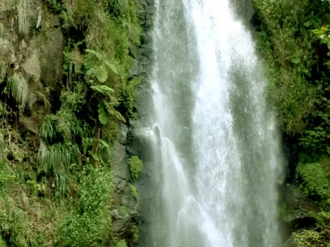 Forest Falls Stock Footage 489853