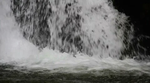 Forest falls Stock Footage 8653219