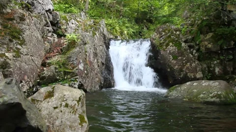 Forest falls Stock Footage 8653328