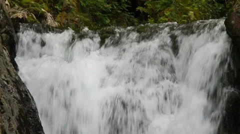 Forest falls Stock Footage 8653338