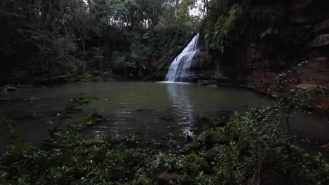 Forest falls 스톡 동영상 311116658