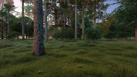 Forest fantasy rustic treehouse complex wild sunset fairy tale - seamless loop Stock Footage 105060251