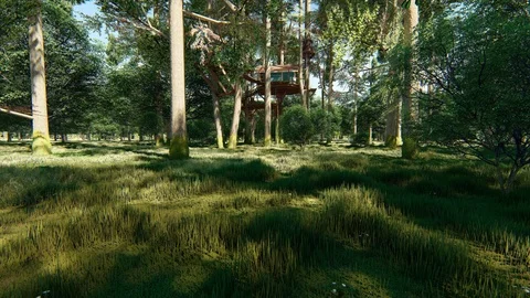 Forest fantasy rustic treehouse complex wild daytime fairy tale - seamless loop Stock Footage 105104175