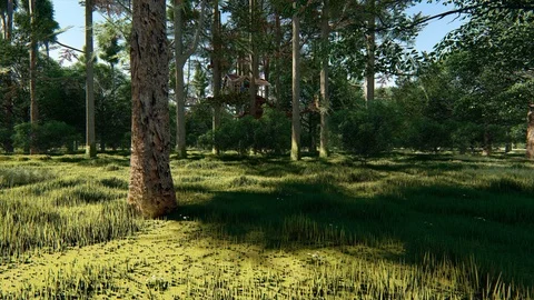 Forest fantasy rustic treehouse complex wild daytime fairy tale - seamless loop Stock Footage 105104182