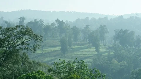 Forest & farmland Ethiopia Stock Footage