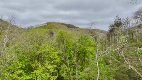 Forest, Farms and fields over Long Wood, River Dart, Dartmouth, Kingswear, Devon Stock-Footage 273564729