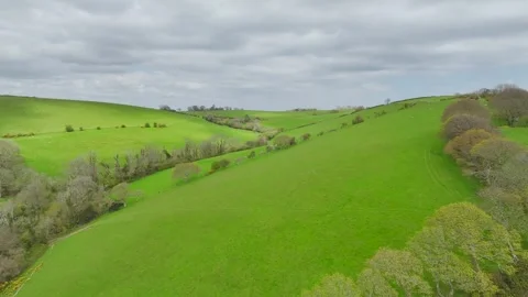 Forest, Farms and fields over Long Wood, River Dart, Dartmouth, Kingswear, Devon Video stock 273564749