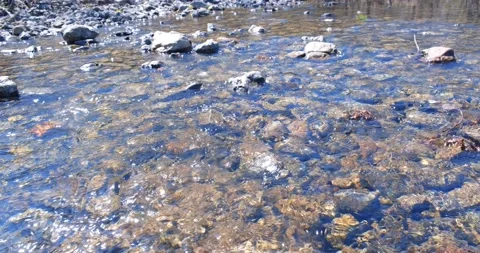 The forest is a fast shallow stream with a rocky bottom. Concept of ecology Stock Footage 195847340