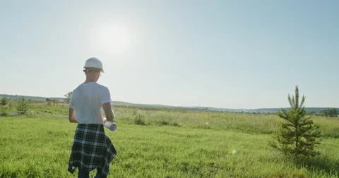 Forest field area is planned for the construction of a new project of a Stock Footage 142257745