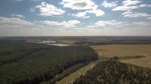 Forest field sky clouds top view. Stock Footage 94106238
