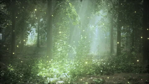 A forest filled with lots of green trees 스톡 동영상 291391145