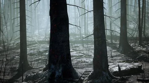 A forest filled with lots of tall trees Stock Illustration
