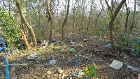 Forest Filled With Trash and Plastic Waste - Littering and Garbage in Nature Stock Footage 127594257