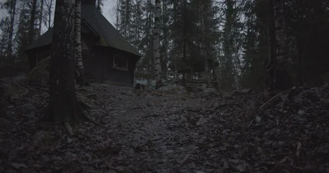 Forest Finland Sequence 1 動画素材 98154564