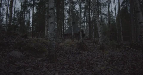 Forest Finland Sequence 3 動画素材 98154169