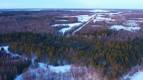 Forest with fir and pine trees in the winter season. Aerial view Vídeos de archivo 169226271