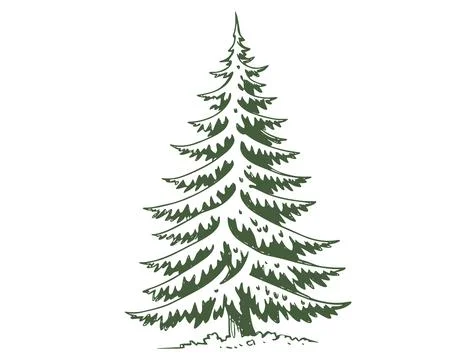 Forest fir tree in the snow. Simple sketch of a snow forest fir 스톡 일러스트
