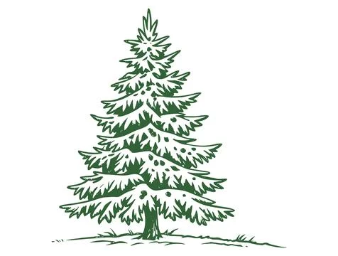 Forest fir tree in the snow. Simple sketch 스톡 일러스트