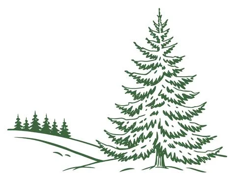 Forest fir tree in the snow. Simple sketch 스톡 일러스트