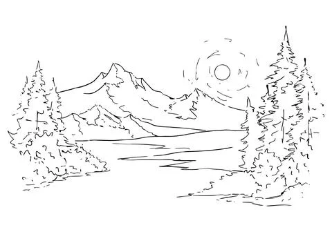 Forest with fir trees Stock Illustration