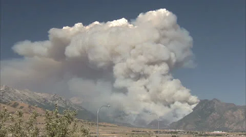 Forest Fire 01 库存影片 25600960