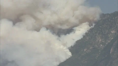 Forest Fire 02 库存影片 25600841