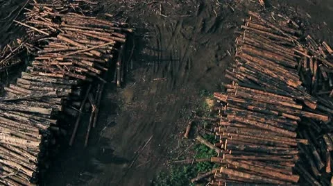 Forest fire 03.mp4 Video stock 8977195