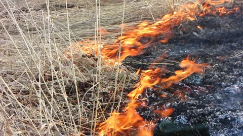 Forest fire 45 스톡 동영상 940566