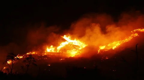 Forest fire, 4k Stock Footage 42999888