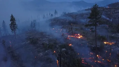 Forest fire from above in 4k drone shot. BC British Columbia Okanagan wildfire Stock Footage