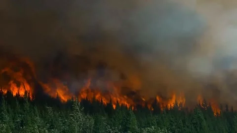 Forest Fire Aerial Drone View Jungle Wildfire 4K 스톡 동영상 332481597