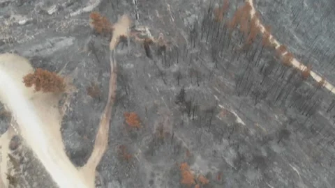 Forest Fire aftermath Drone shots Stock-Footage 207678582
