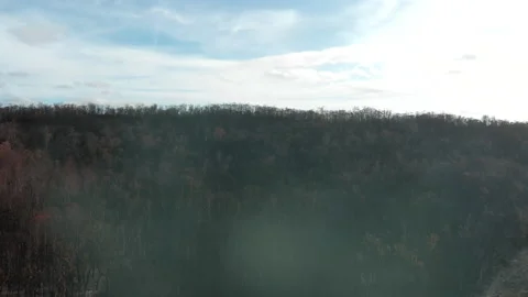 Forest Fire Aftermath Stock Footage 155362072