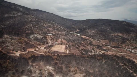Forest fire aftermath of mountain hillside region of Parnitha Greece, Video stock 252656009