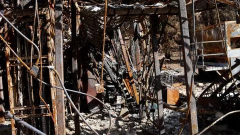 Forest Fire aftermath Stock Photos