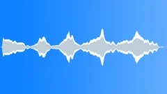 Forest fire alarmSound Effect