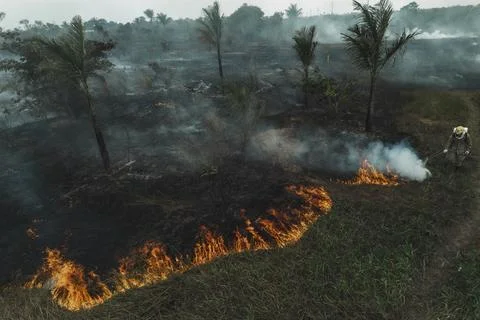 Forest fire in the Amazon destroys 700 hectares near Manaus, Manaos, Brazil - 24 Stock Photos