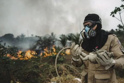 Forest fire in the Amazon destroys 700 hectares near Manaus, Manaos, Brazil - 24 Stock Photos