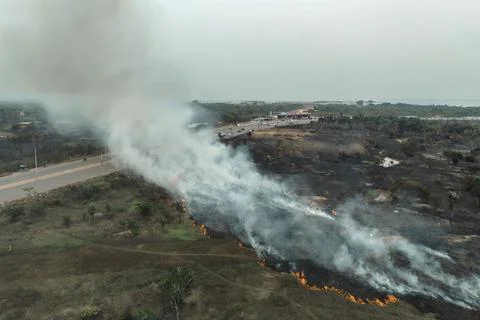 Forest fire in the Amazon destroys 700 hectares near Manaus, Manaos, Brazil - 24 Stock Photos