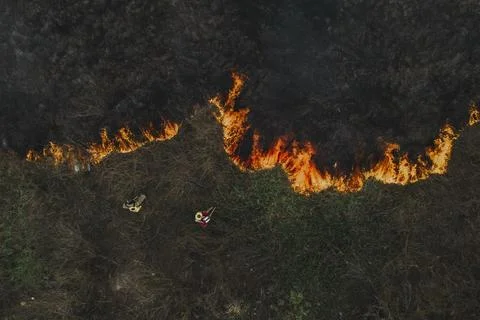 Forest fire in the Amazon destroys 700 hectares near Manaus, Manaos, Brazil - 24 Stock Photos