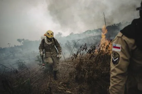 Forest fire in the Amazon destroys 700 hectares near Manaus, Manaos, Brazil - 24 Stock Photos