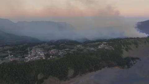 Forest fire and dense smoke capture using drone camera in 4K resolution Stock Footage 281250654