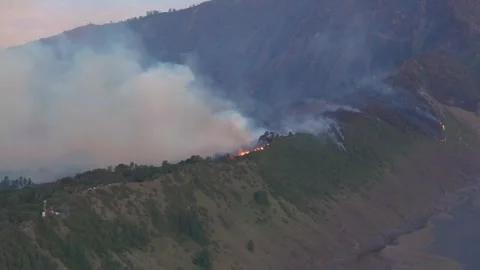Forest fire and dense smoke capture using drone camera in 4K resolution Stock Footage 281250662