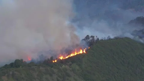 Forest fire and dense smoke capture using drone camera in 4K resolution Stock Footage 281250676