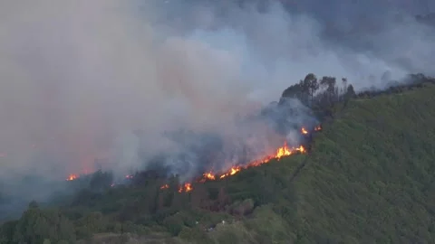 Forest fire and dense smoke capture using drone camera in 4K resolution Stock Footage 281250685