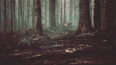 Forest fire and fallen tree is burned to the ground with a lot of smoke Video stock 233905128