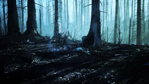 Forest fire and fallen tree is burned to the ground with a lot of smoke Stock Illustration